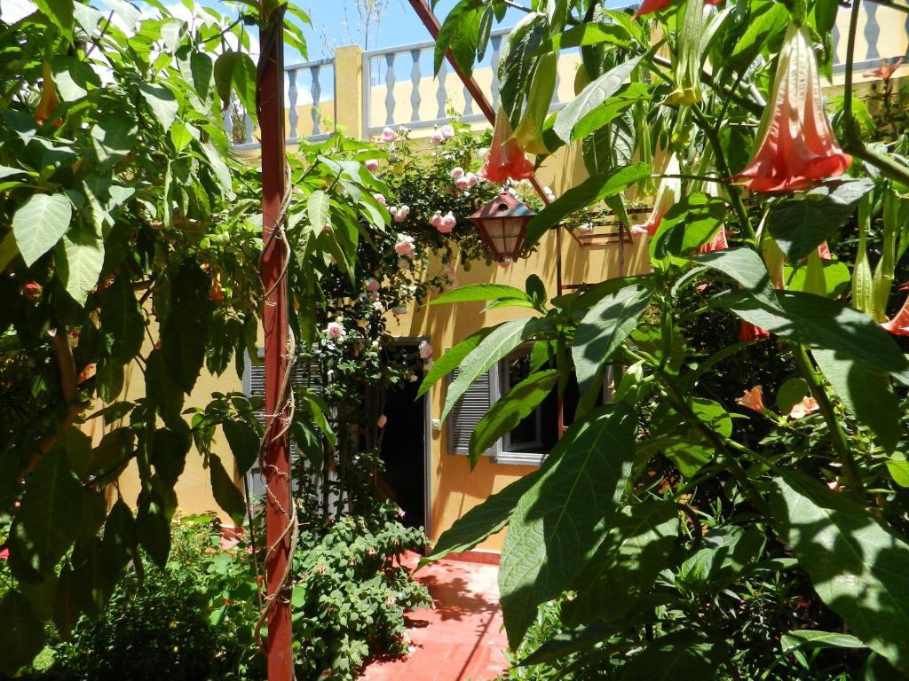 Bed and Breakfast Dar Beldi Уалідія Номер фото
